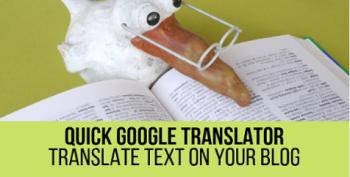 Quick Google Translator Plugin for WordPress
